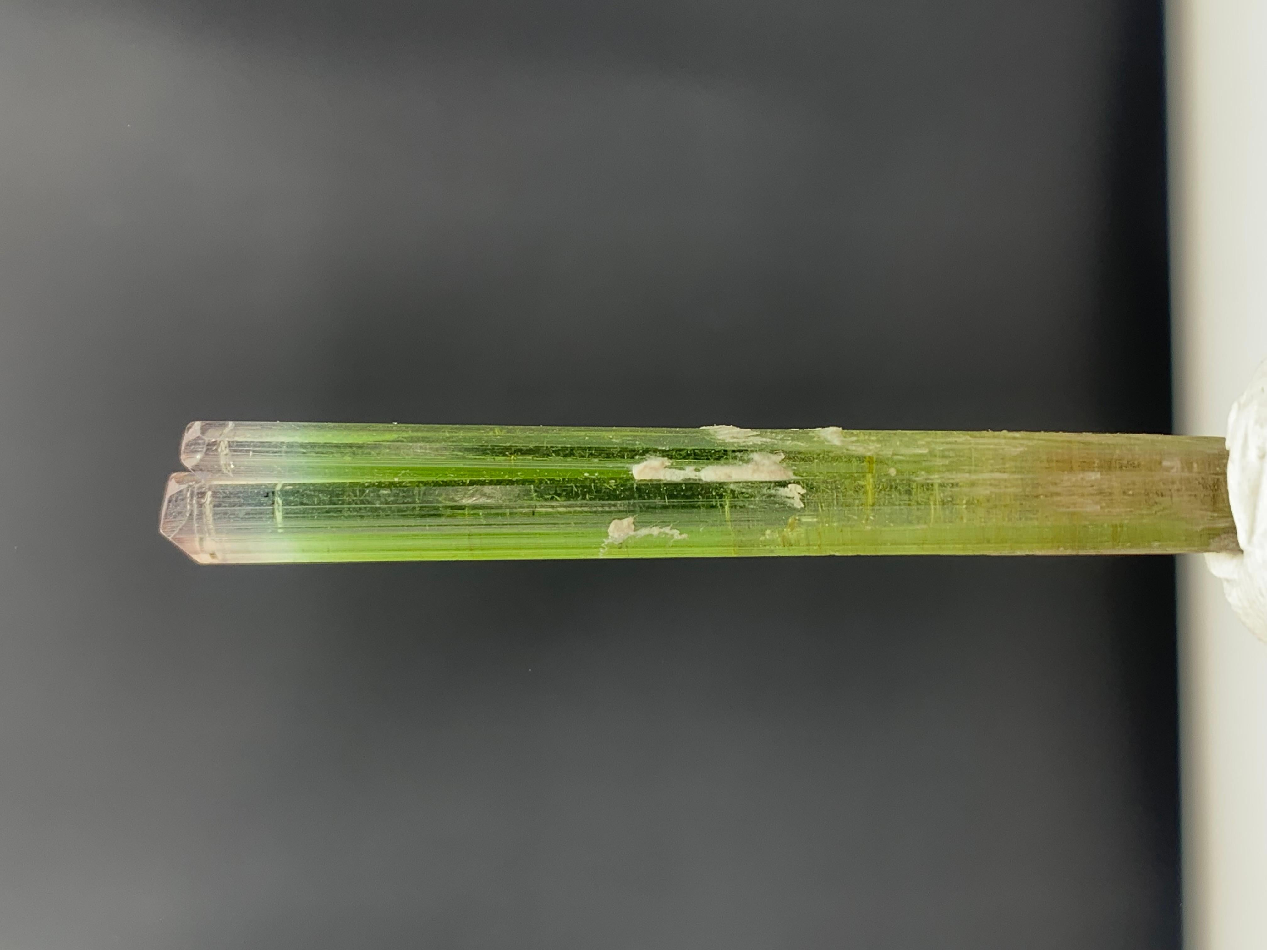 22.50 Carat Stunning Bi Color Tourmaline Crystal from Paprook Mine, Afghanistan For Sale 4