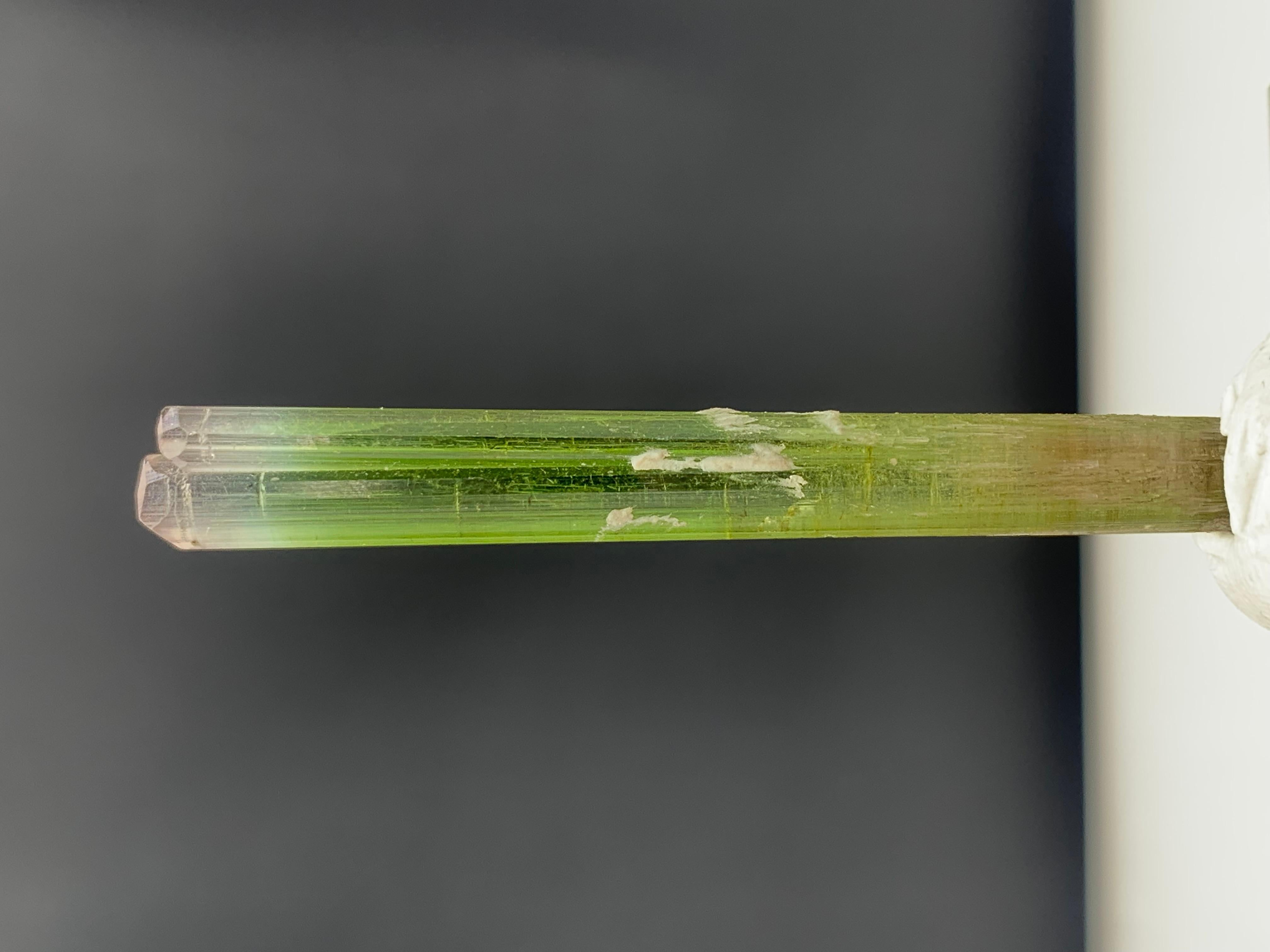 Superbe cristal de tourmaline bicolore provenant de la mine Paprook, Afghanistan
Poids : 22,50 carats
DIMENSIONS : 6,2 x 0,7 x 0,5 cm
ORIGINE : Mine de Paprook, Afghanistan
Couleur : vert et rose clair
TRAITEMENT : Aucun

Les tourmalines font partie