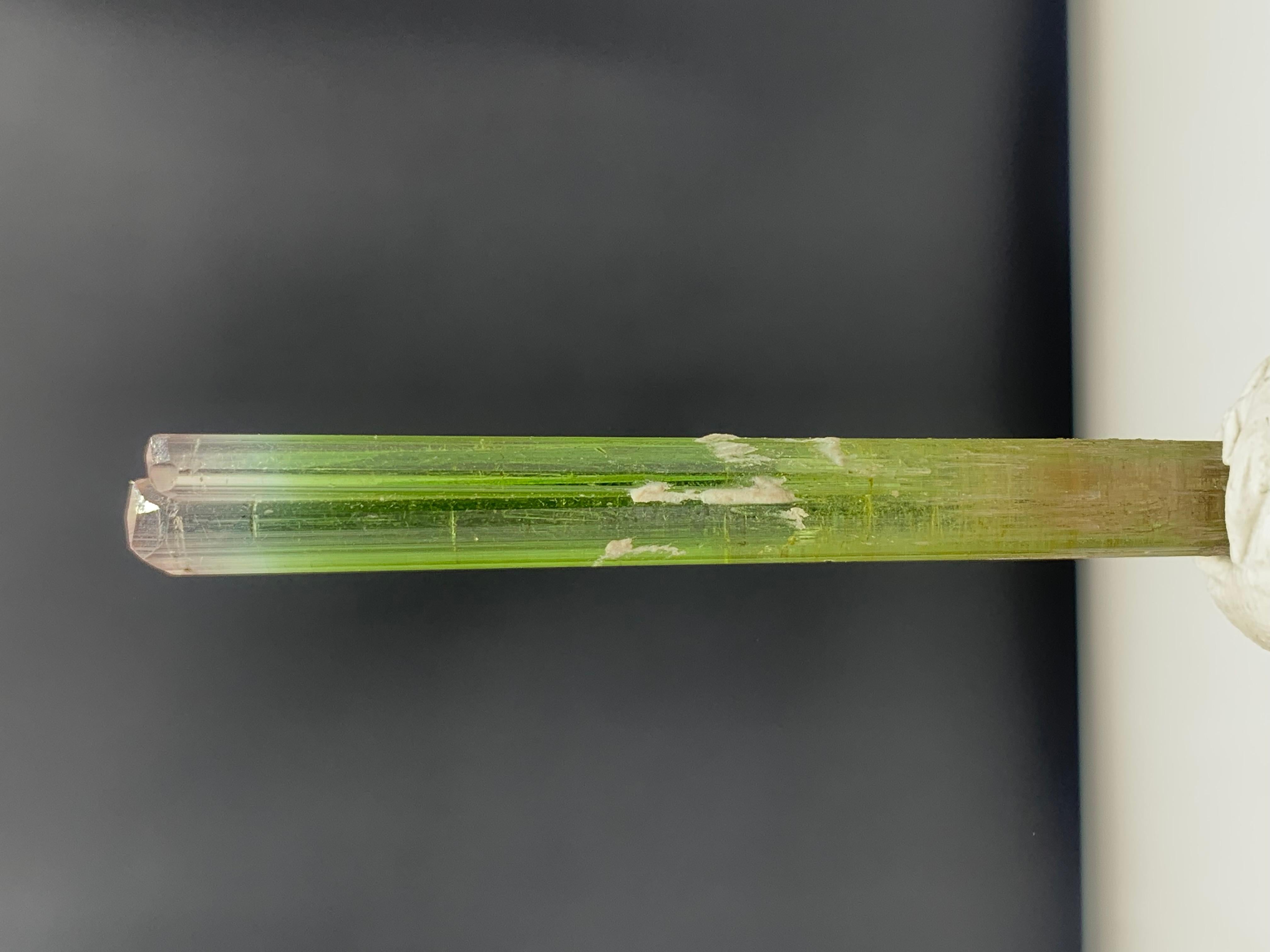 Style Adam Superbe cristal de tourmaline bicolore de 22,50 carats provenant de la mine de Paprook, Afghanistan en vente