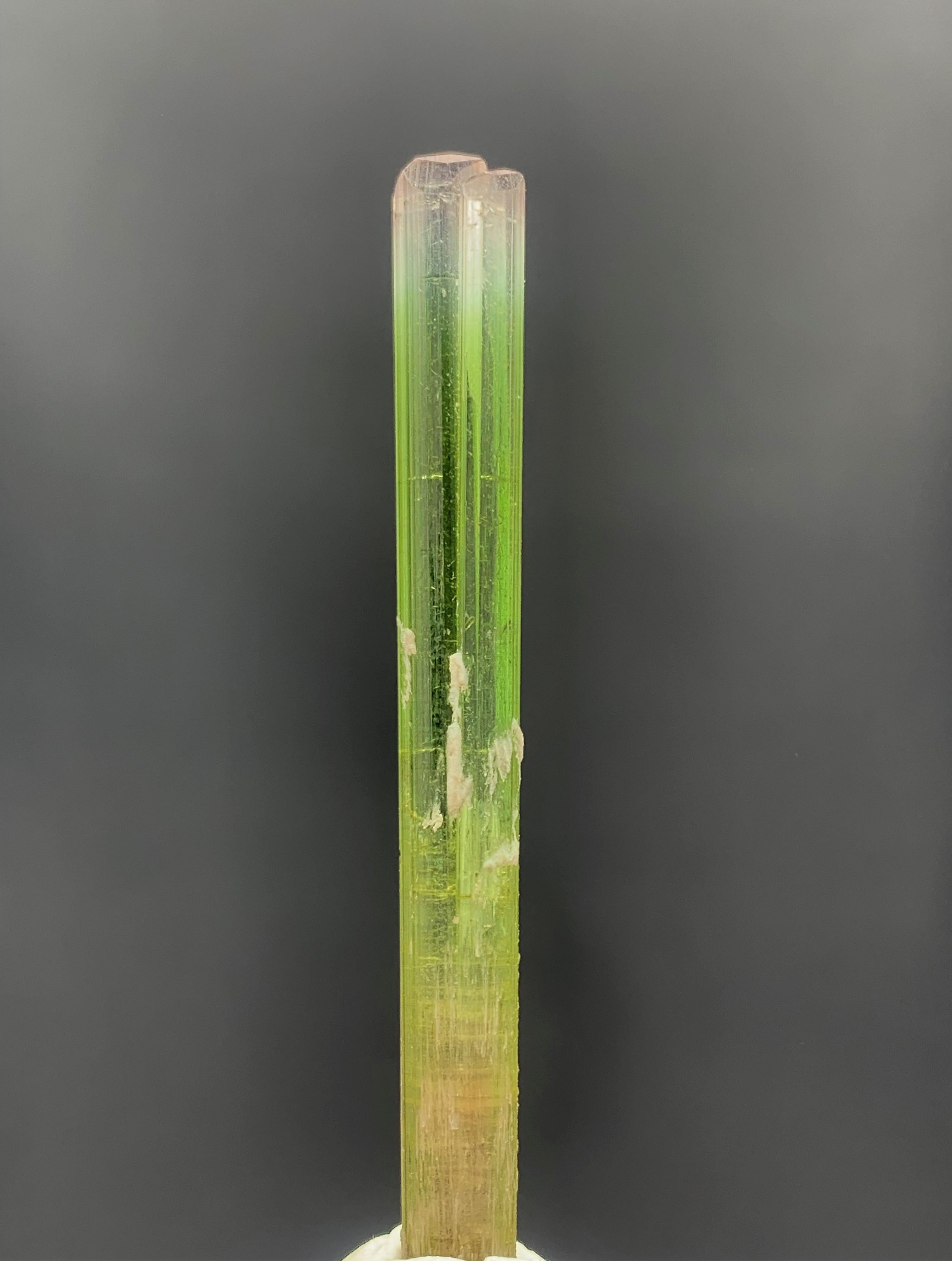 Autre Superbe cristal de tourmaline bicolore de 22,50 carats provenant de la mine de Paprook, Afghanistan en vente