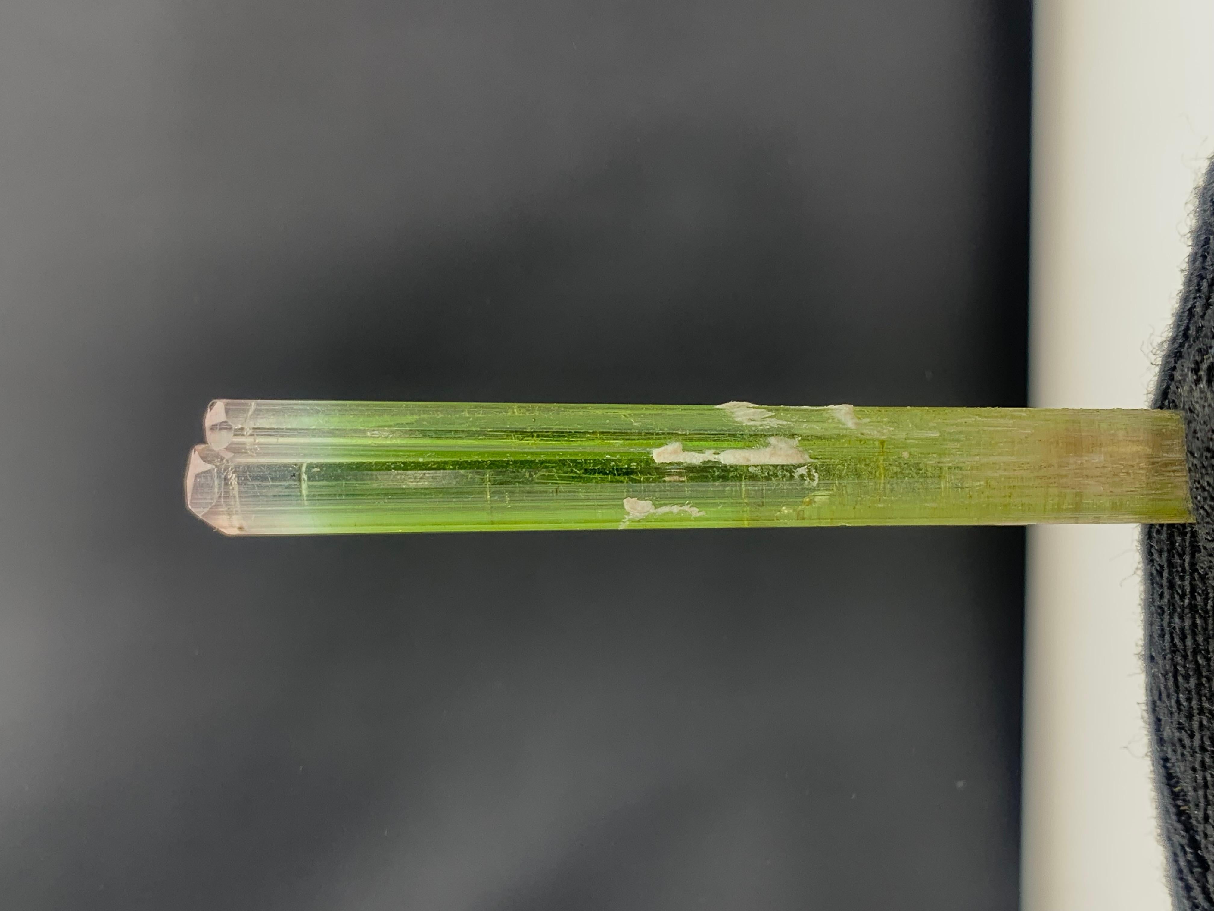 XVIIIe siècle et antérieur Superbe cristal de tourmaline bicolore de 22,50 carats provenant de la mine de Paprook, Afghanistan en vente