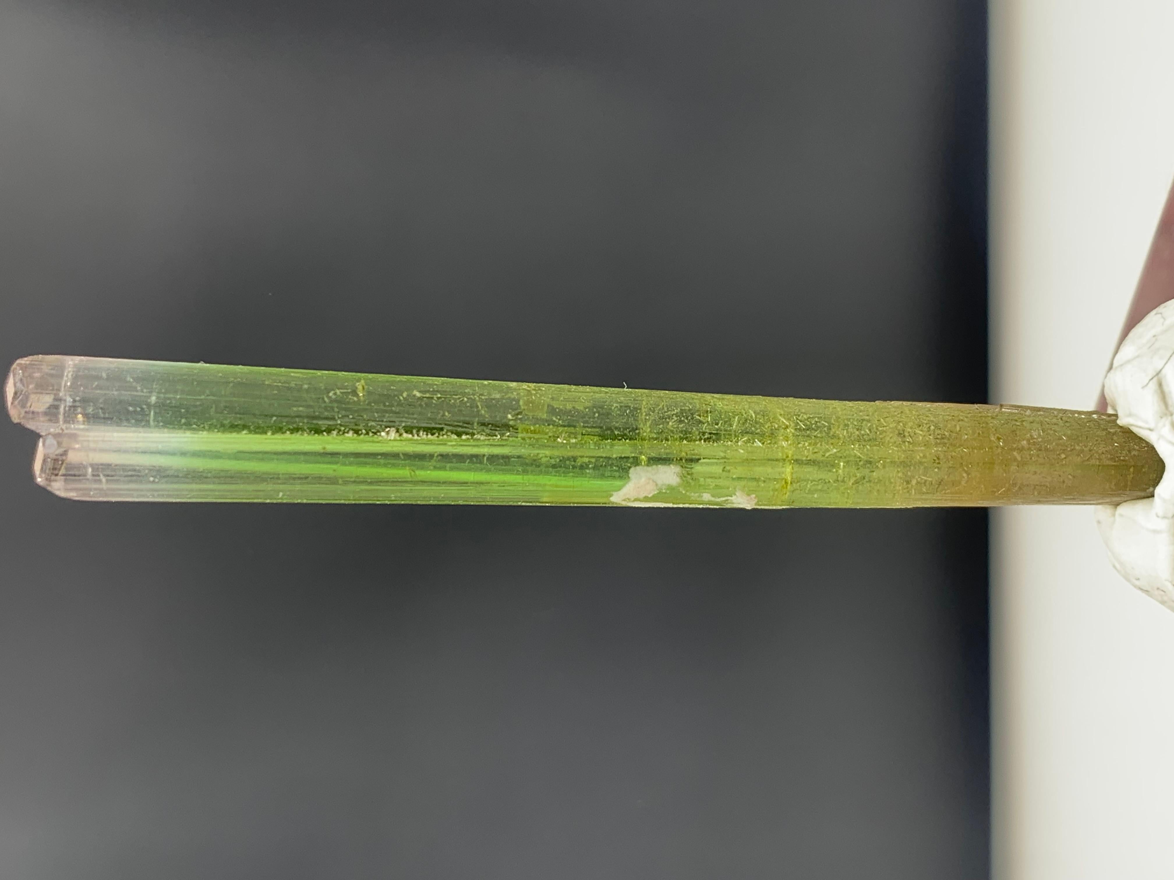 Superbe cristal de tourmaline bicolore de 22,50 carats provenant de la mine de Paprook, Afghanistan en vente 1