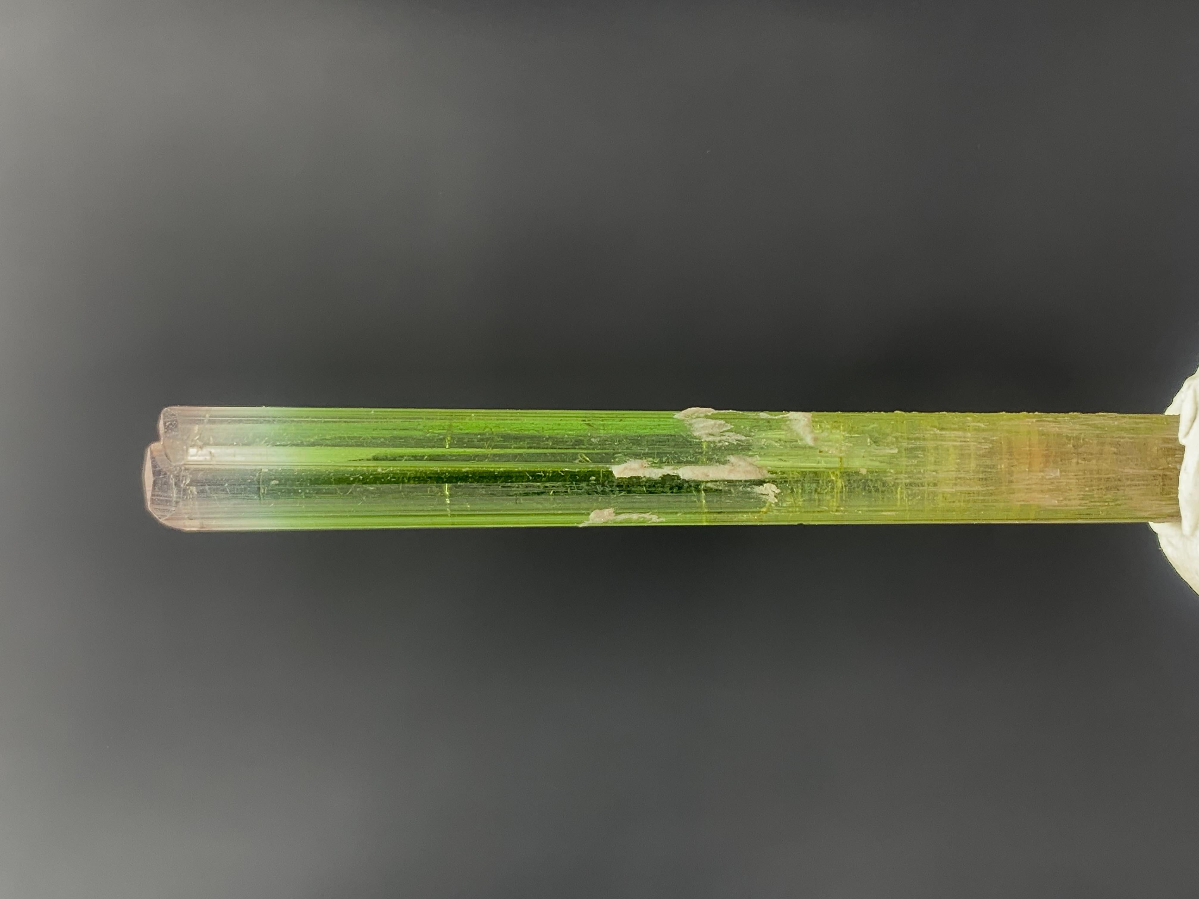 Superbe cristal de tourmaline bicolore de 22,50 carats provenant de la mine de Paprook, Afghanistan en vente 2