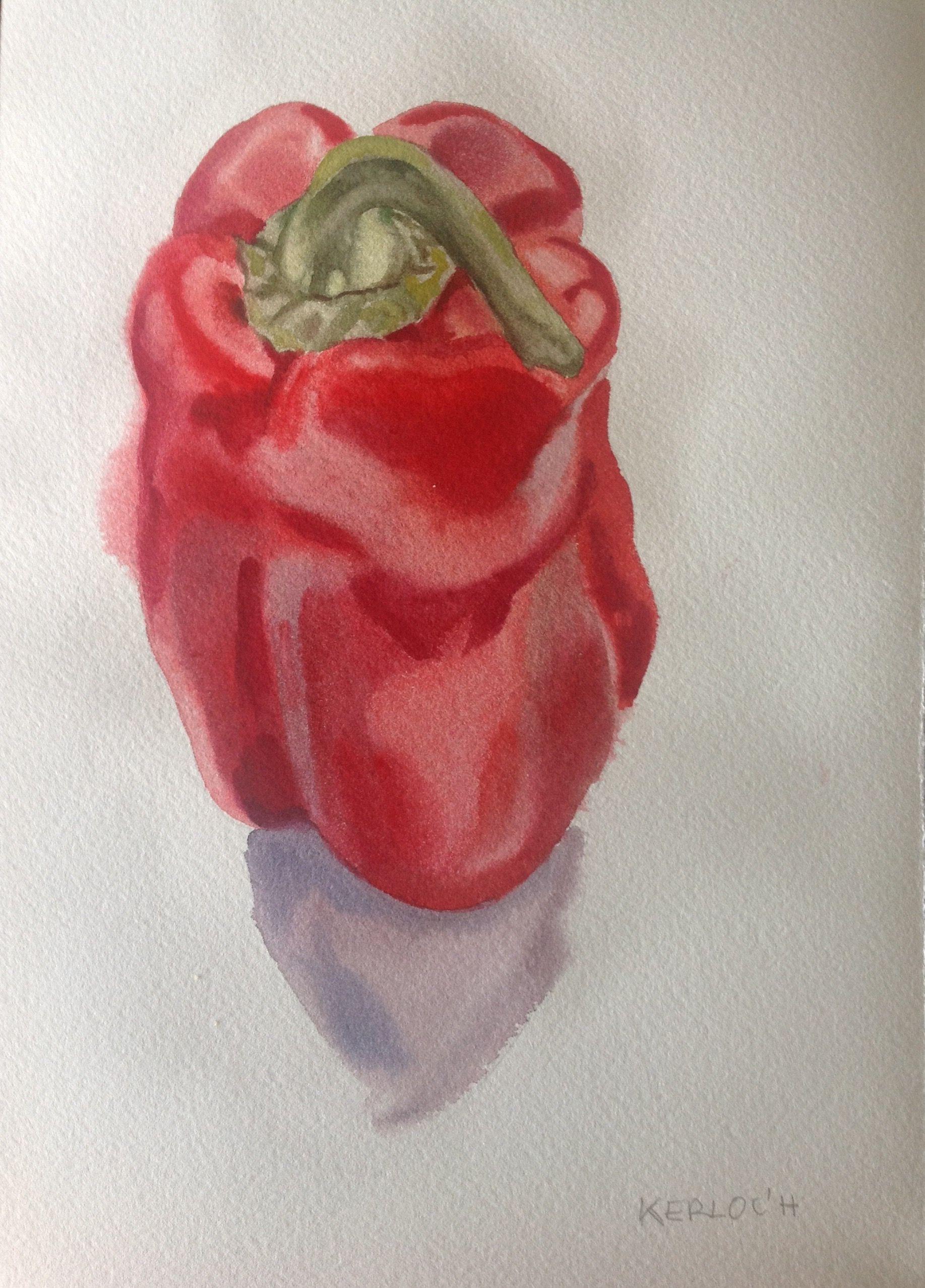Red Pepper #1 2022, Painting, Watercolor on Watercolor Paper - Art by Anyck Alvarez Kerloch