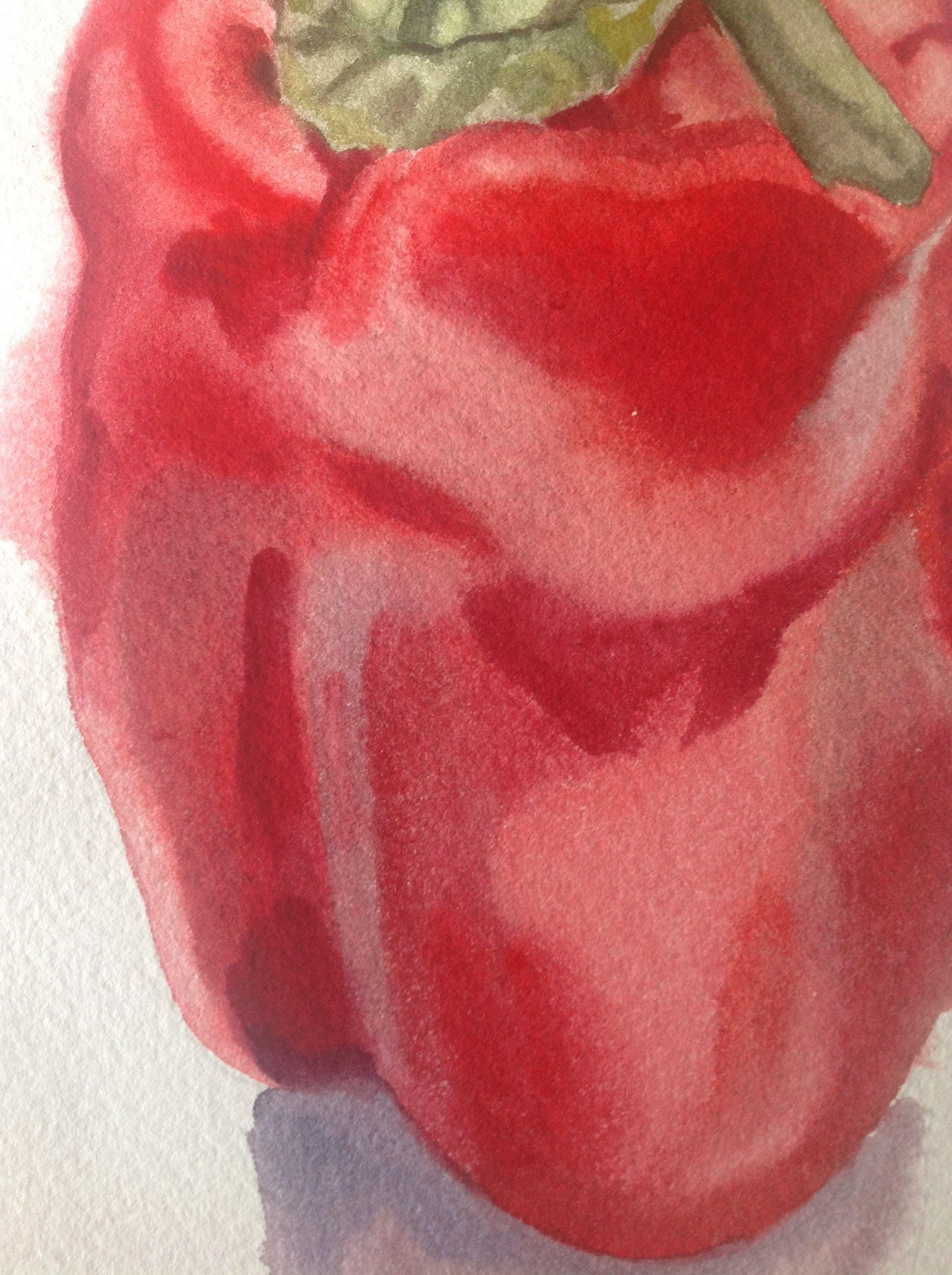 Red Pepper #1 2022, Painting, Watercolor on Watercolor Paper - Expressionist Art by Anyck Alvarez Kerloch