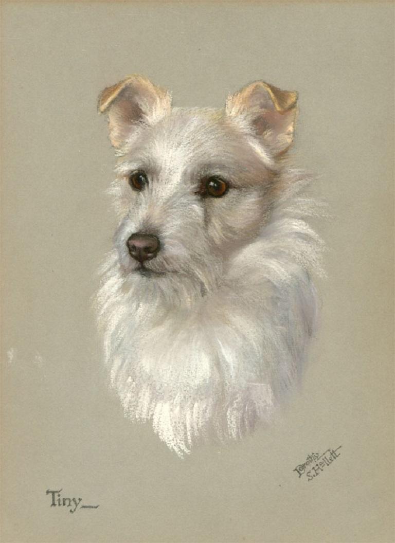 Dorothy S. Hallett - Early 20th Century Pastel, Portrait of a Terrier, 'Tiny' For Sale 1