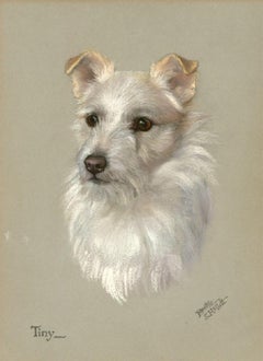 Dorothy S. Hallett - Pastellfarbenes Pastellporträt eines Terriers, 'Tiny', frühes 20. Jahrhundert