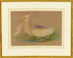 Gerahmtes Aquarell von 1809 - Eine Studie von zwei schneeligen Egrets