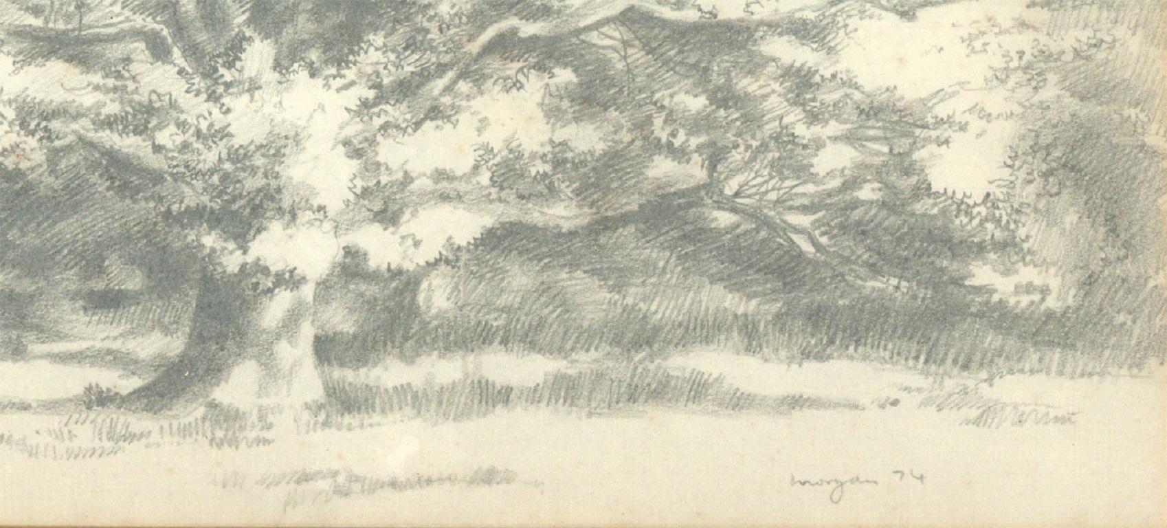 Glyn Morgan (1926-2015) - Signed 1974 Graphite Drawing, Tree Study in Devon 3