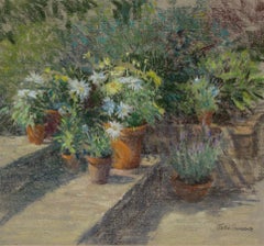 Jackie Simmonds (b.1944) - Contemporary Pastel, Terracotta Pots
