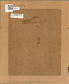 Alastair Gordon (1920-2002) - 1977 Aquarell, Phalaenopsis