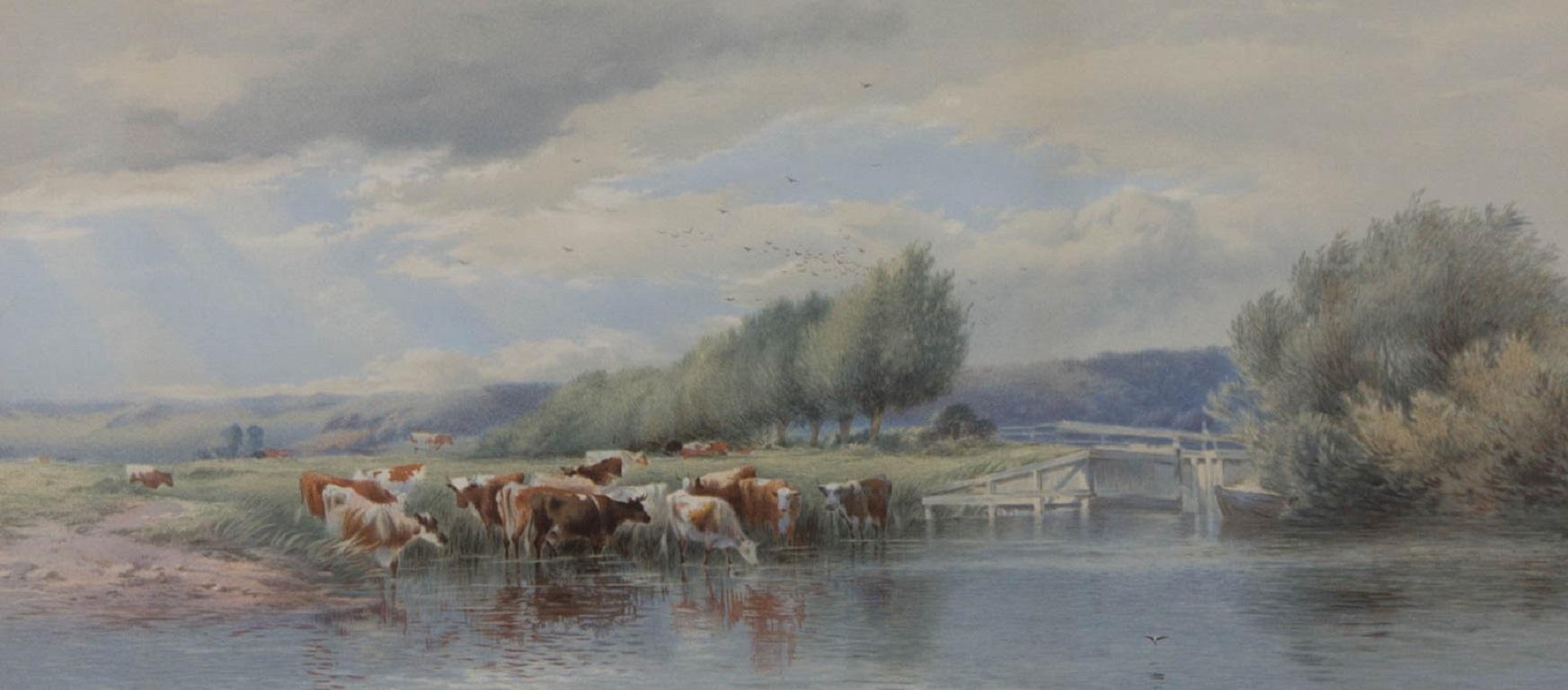 Aquarelle du 20e siècle encadrée - Vaches au bord de la rivière - Art de Unknown