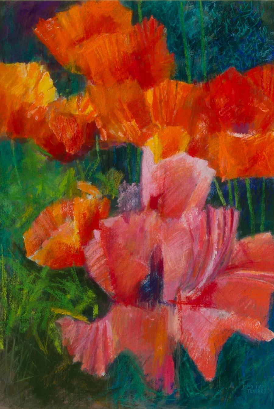 John Ivor Stewart PPPS (1936-2018) - Contemporary Pastel, Opium Poppies 1