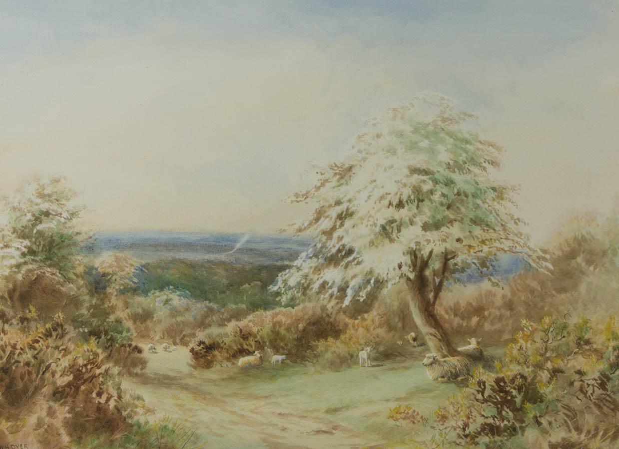 W. Hoyer - Acquerello del XX secolo firmato e incorniciato, Ombra del vento in vendita 1