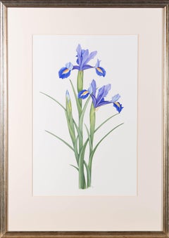 Robert Howe - Aquarelle, Irises en fleurs, 2003