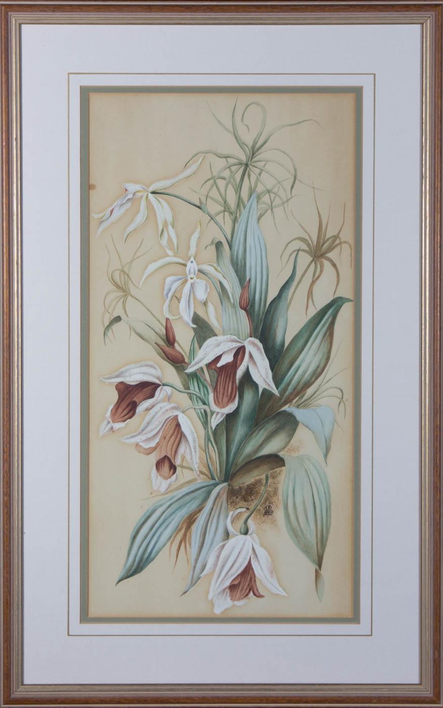 Belle étude florale à l'aquarelle et à la gouache, monogrammée "K.S." et datée "1889" dans le quadrant inférieur droit. Bien présenté dans un montage de carte à double ligne de lavage et dans un cadre en bois avec des détails dorés. On a tissé.