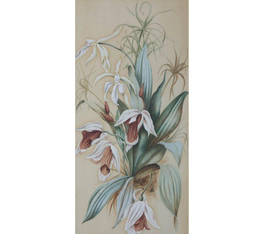 K.S. - 1889 Watercolour, Flower Study For Sale 1