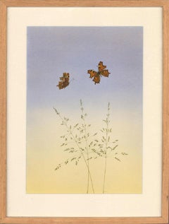 Kate Weaver - 1987 Aquarell, Comma Schmetterlinge und Gras