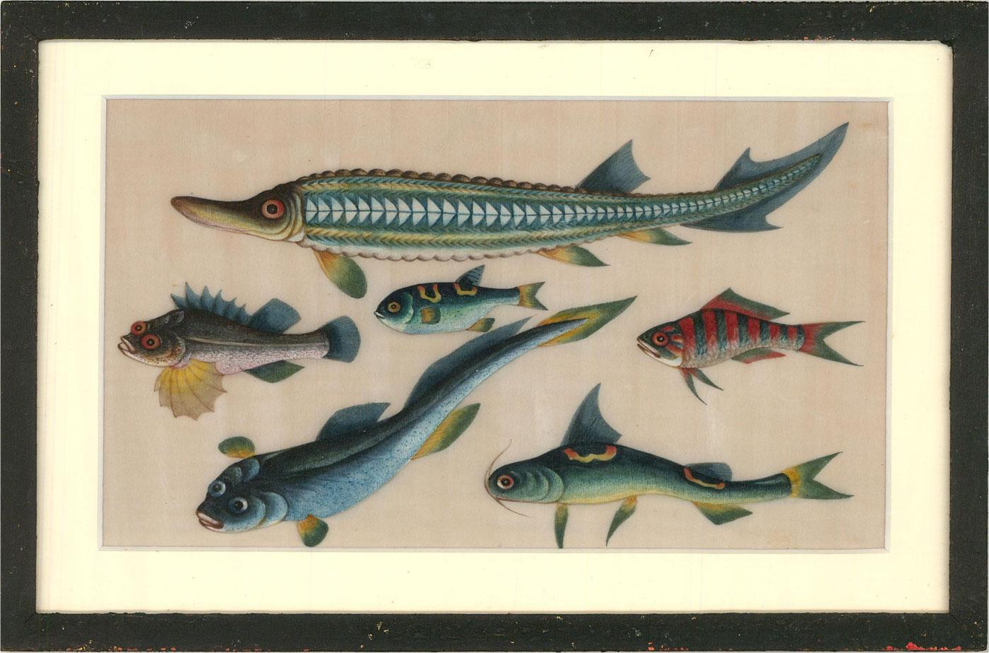 Late 19th Century Gouache - Chinese Fish - Beige Animal Art by Unknown