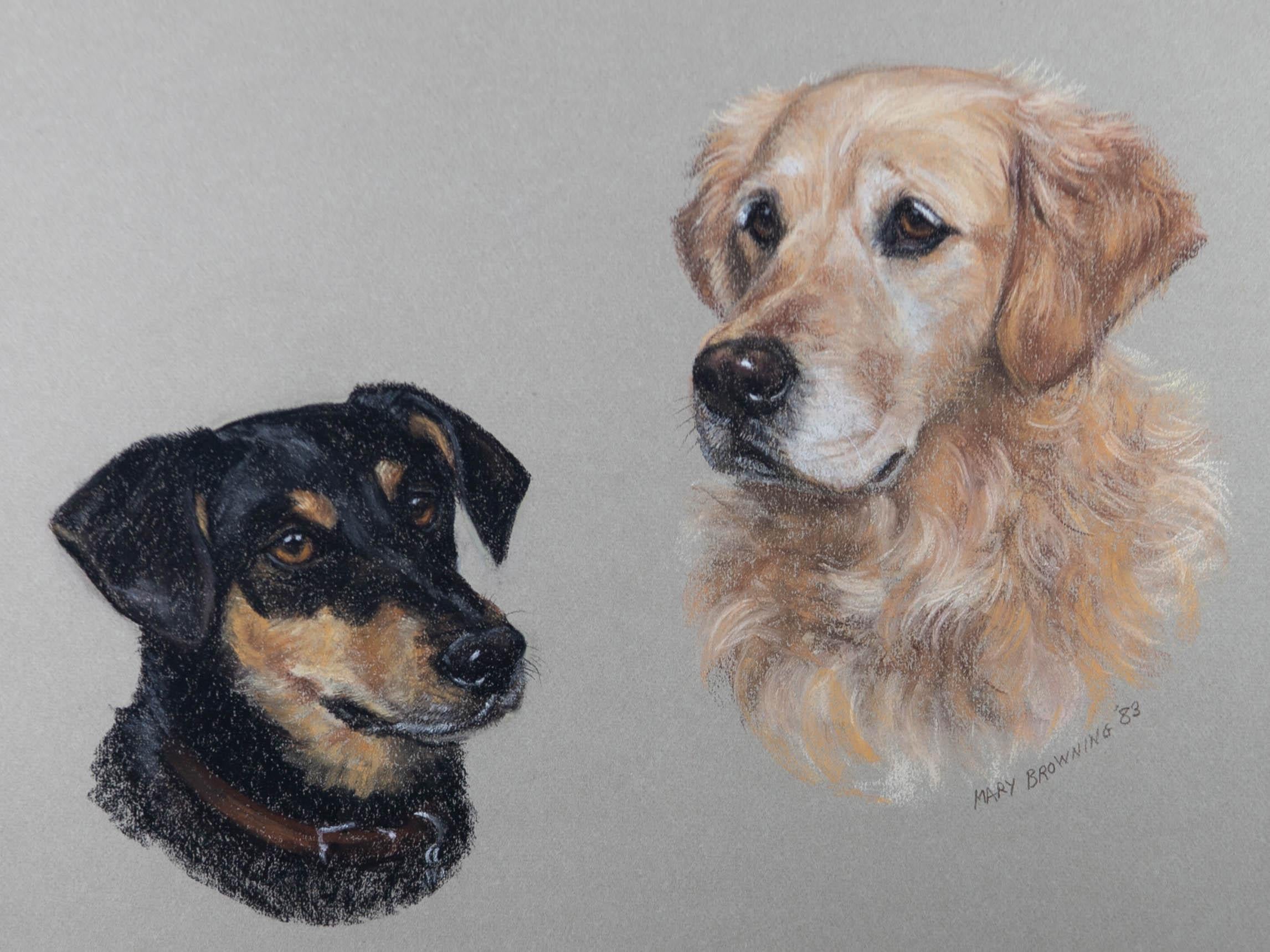Mary Browning - 1983 Pastellfarbenes Porträt von zwei Hunden im Angebot 1