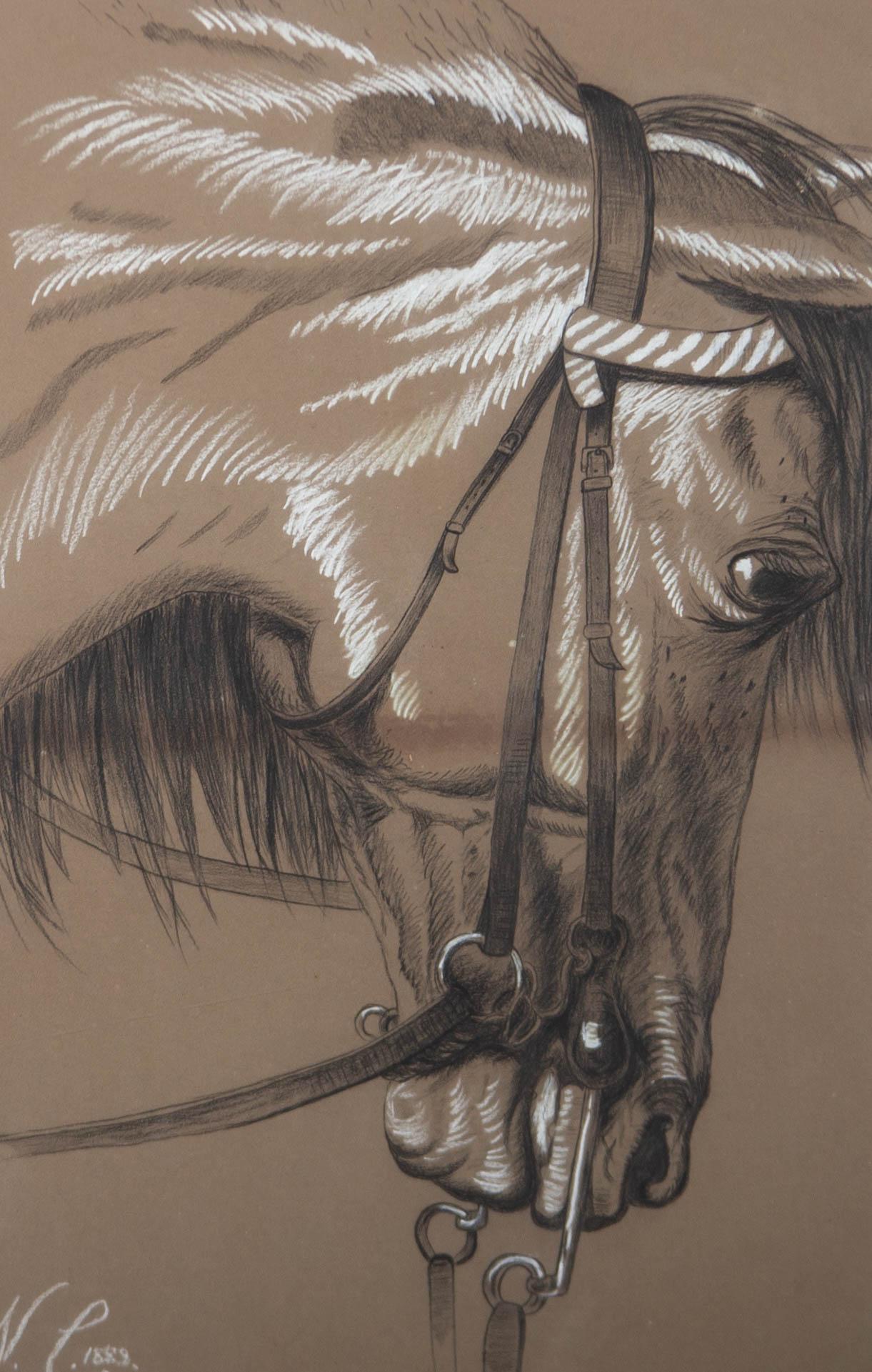A remarkably crisp and deft study of a horse's head in charcoal with white chalk highlights. The artist has initialed and dated to the lower left corner. The drawing is presented in a dark wood frame with white card mount and glazing. On wove.
