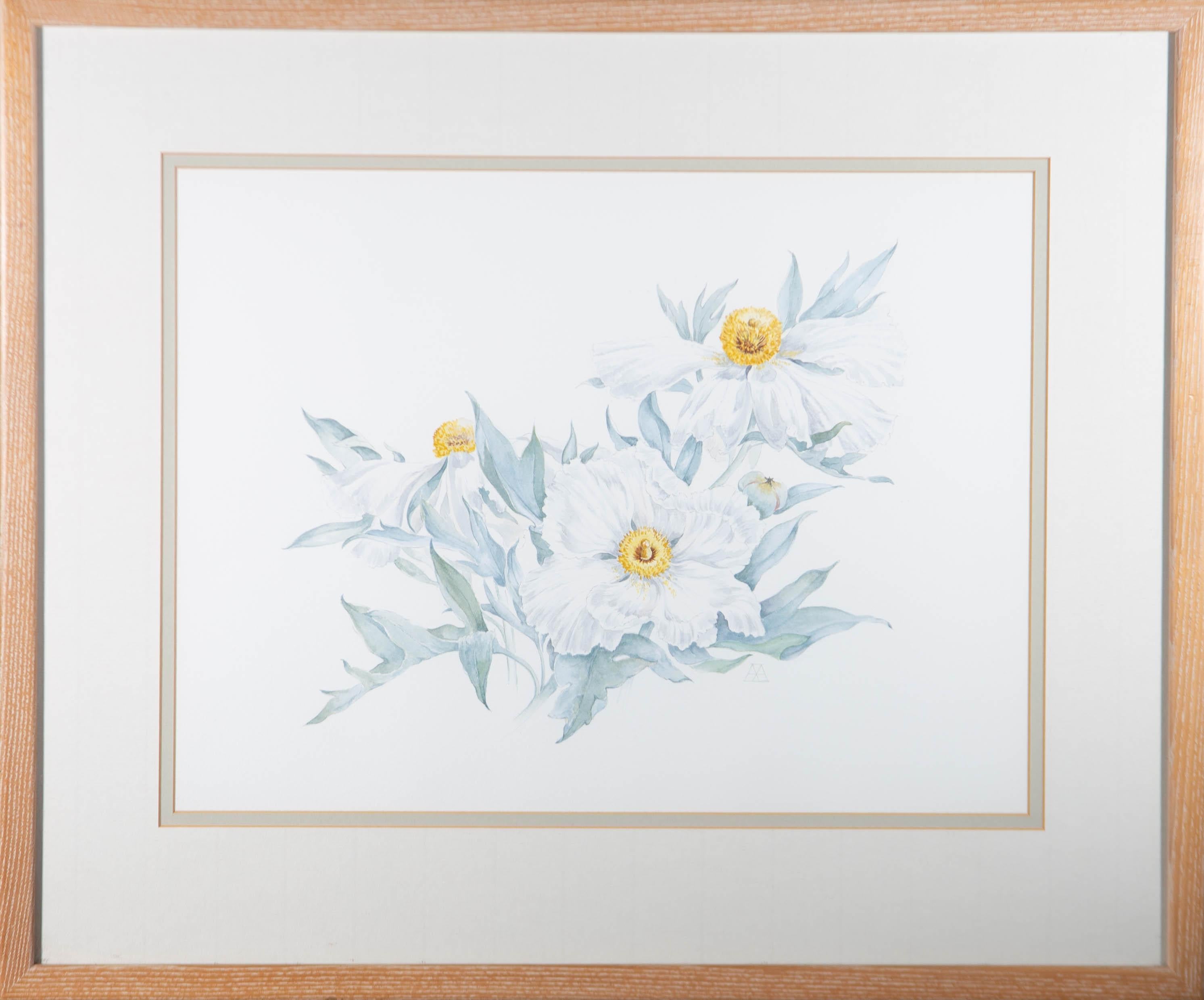 A delicate watercolour of three Romneya Coulteri flowers and one in bud, commonly known as the Coulter's Matilija poppy or California tree poppy. Well-presented in a double card mount with green inner and limed wooden frame. Monogrammed to the