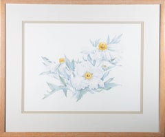 Anne Abraham FSBA – amerikanisches zeitgenössisches Aquarell, Romneya Coulteri