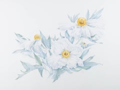 Anne Abraham FSBA - American Contemporary Watercolour, Romneya Coulteri