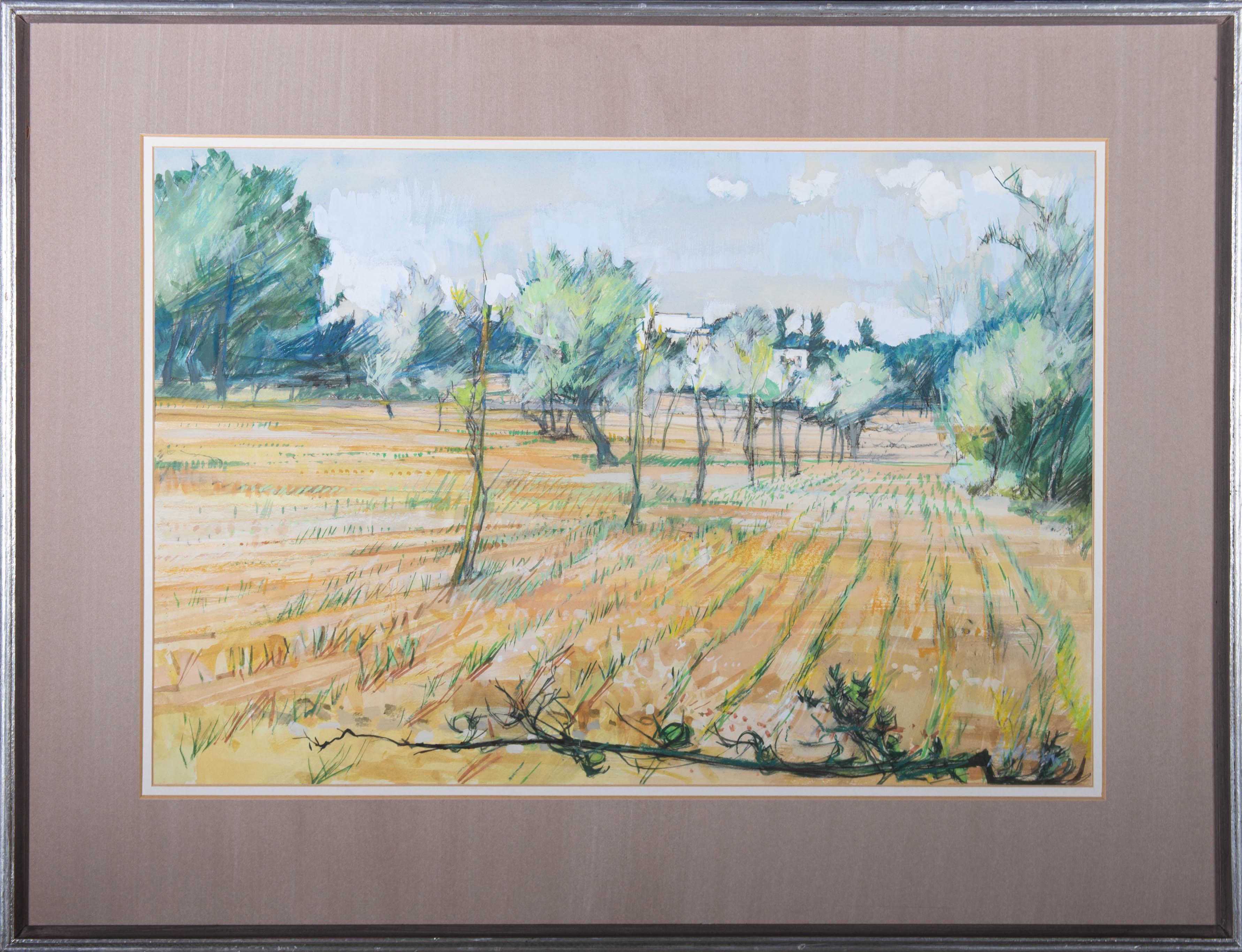 Unknown Landscape Art - 20th Century Watercolour - The Olive Grove