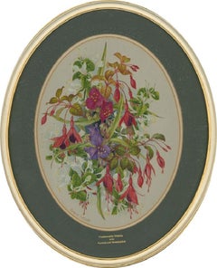 Eleanor Ludgate - Contemporary Watercolour, Fuchsia And Honeysuckle