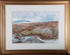 John T. Dunning RBA (1851-1931) - 1910 circa Acquerello, On the Wedlake, Dartmoor