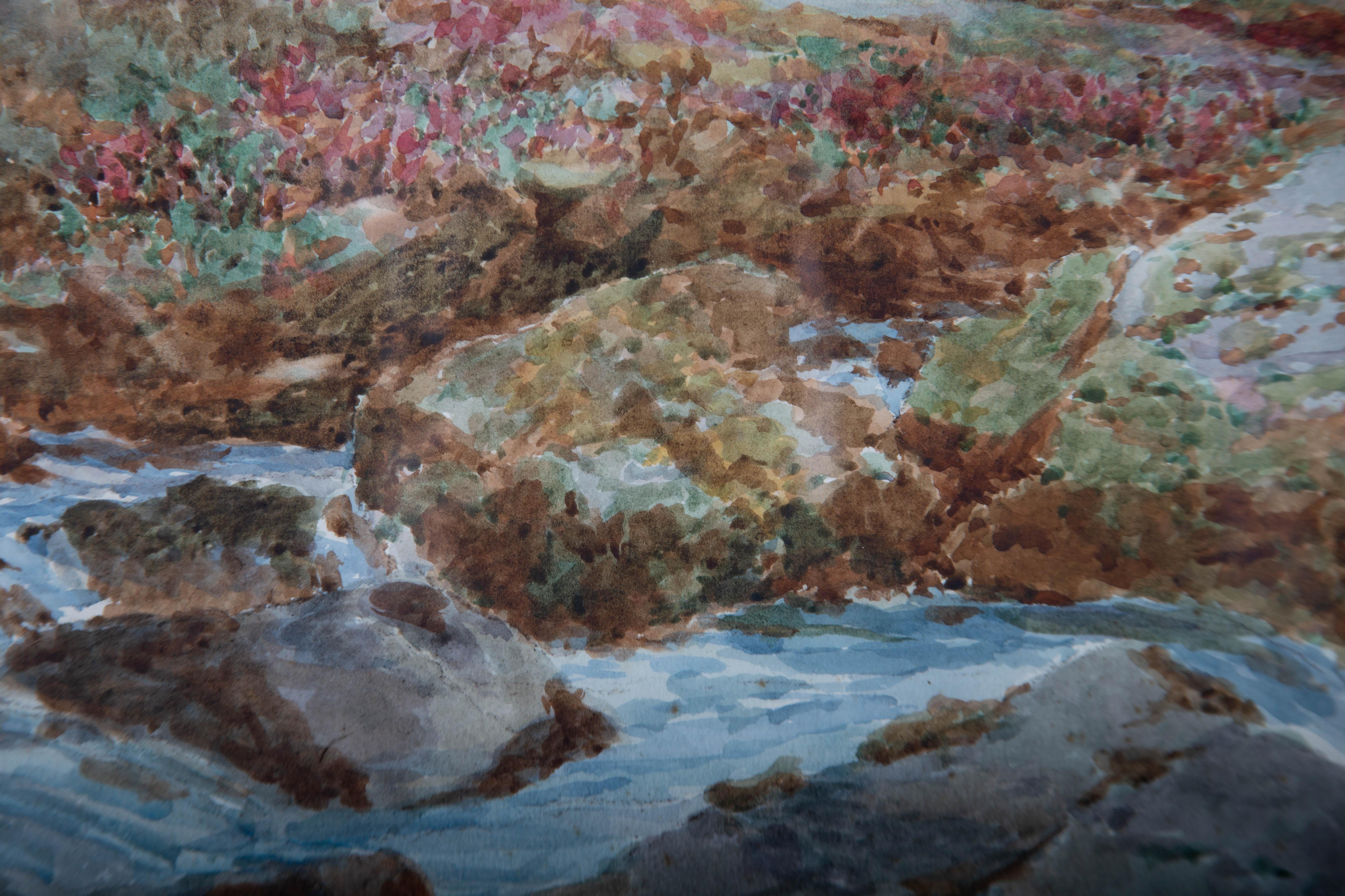 John T. Dunning RBA (1851-1931) - c.1910 Watercolour, On the Wedlake, Dartmoor For Sale 4