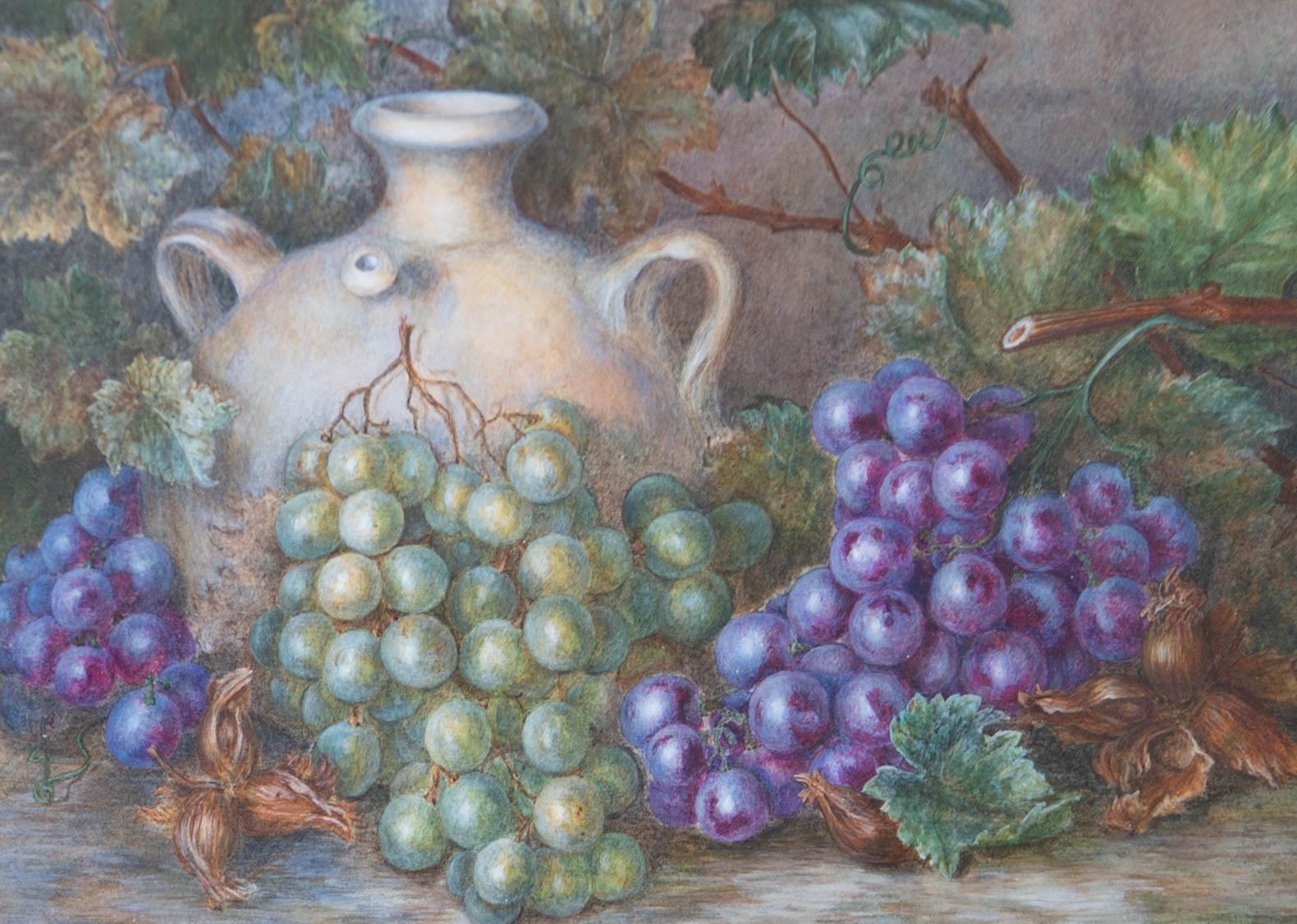 G.L. Falconer - 1879 Watercolour, Vines and Grapes For Sale 2