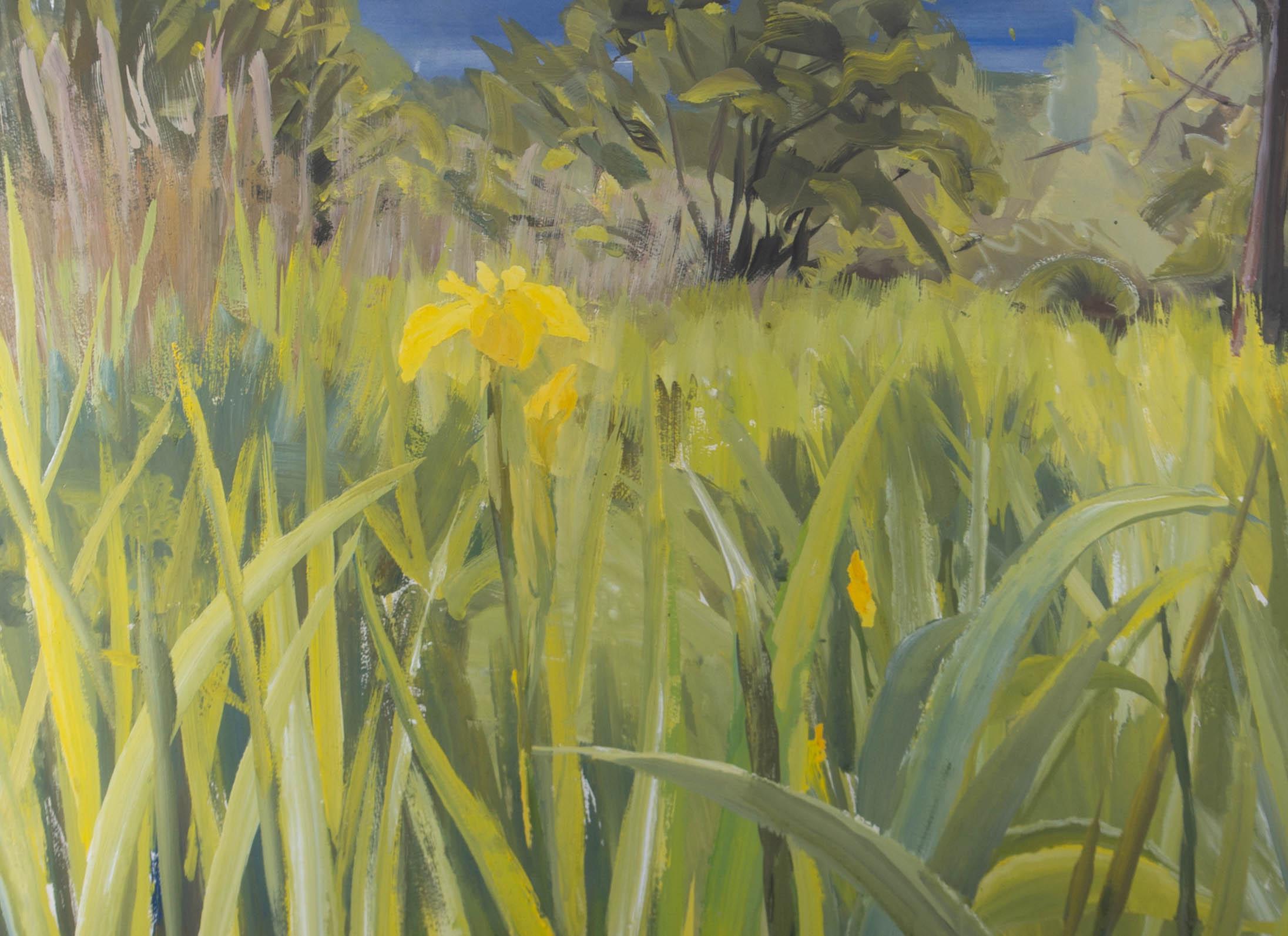 A wonderfully vibrant and joyful gouache scene showing a verdant meadow of long grasses and beautiful yellow flowers. The artist has signed and dated to the lower left corner and the painting has been presented in a contemporary oak frame with white