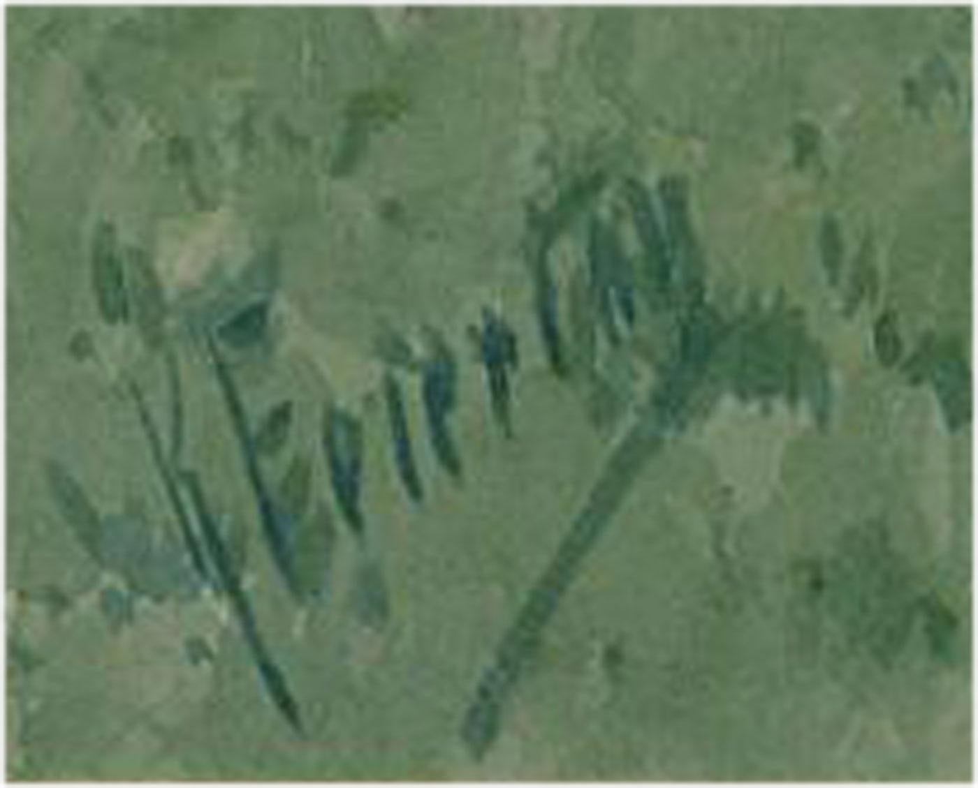 Karl Feiertag (1874-1944) - Austrian Early 20th Century Watercolour, Apple Tree For Sale 1