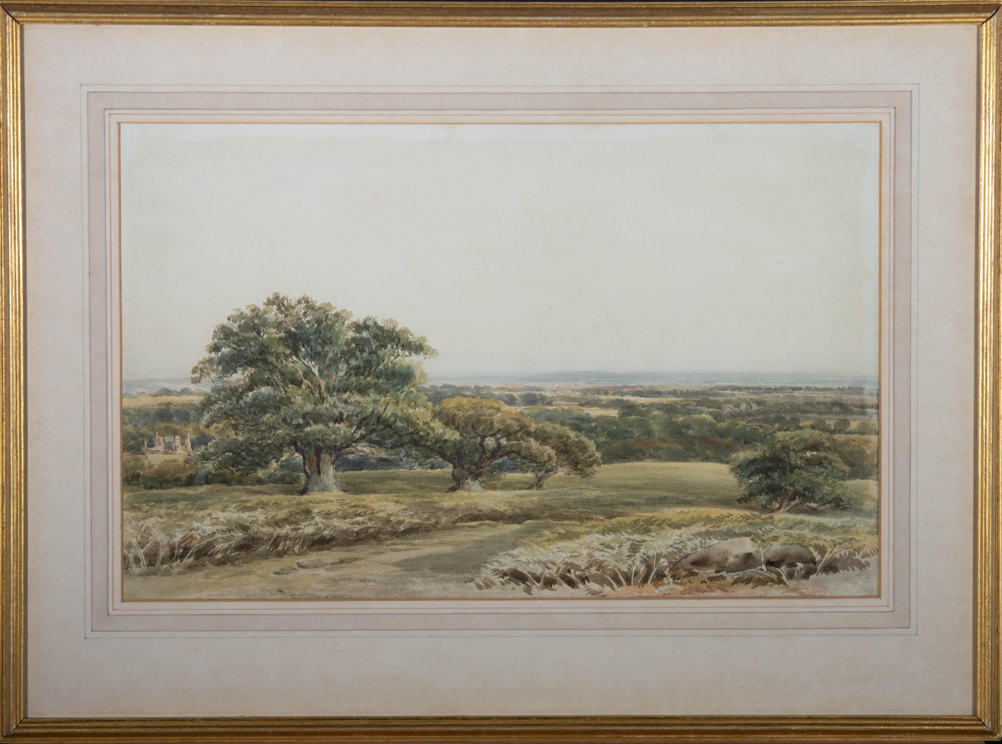 David Hall Mckewan Landscape Art - David Hall McKewan (1816-1873) - Watercolour, Bradgate Park Leicestershire