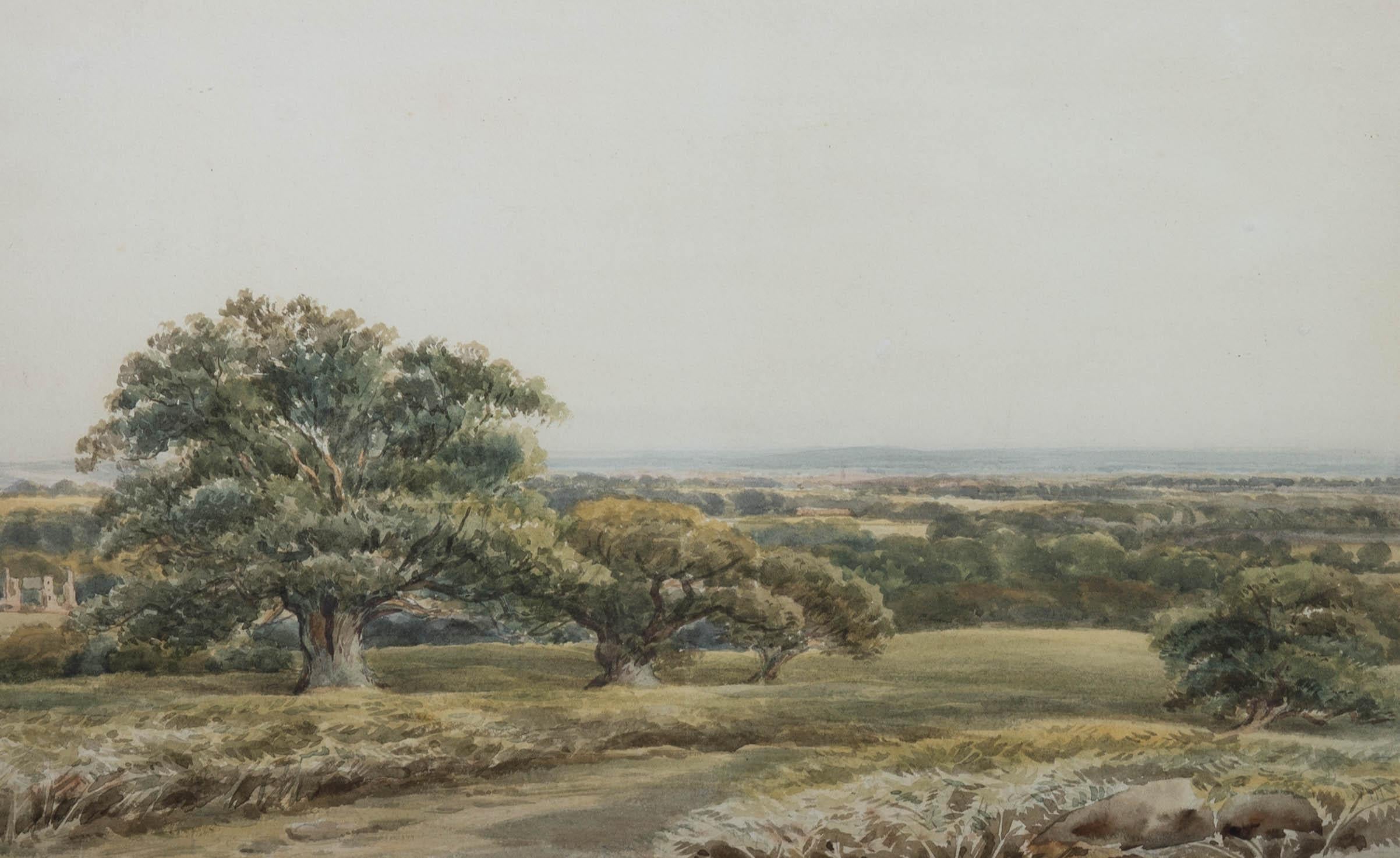 David Hall McKewan (1816-1873) - Watercolour, Bradgate Park Leicestershire - Art by David Hall Mckewan