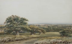 David Hall McKewan (1816-1873) - Watercolour, Bradgate Park Leicestershire