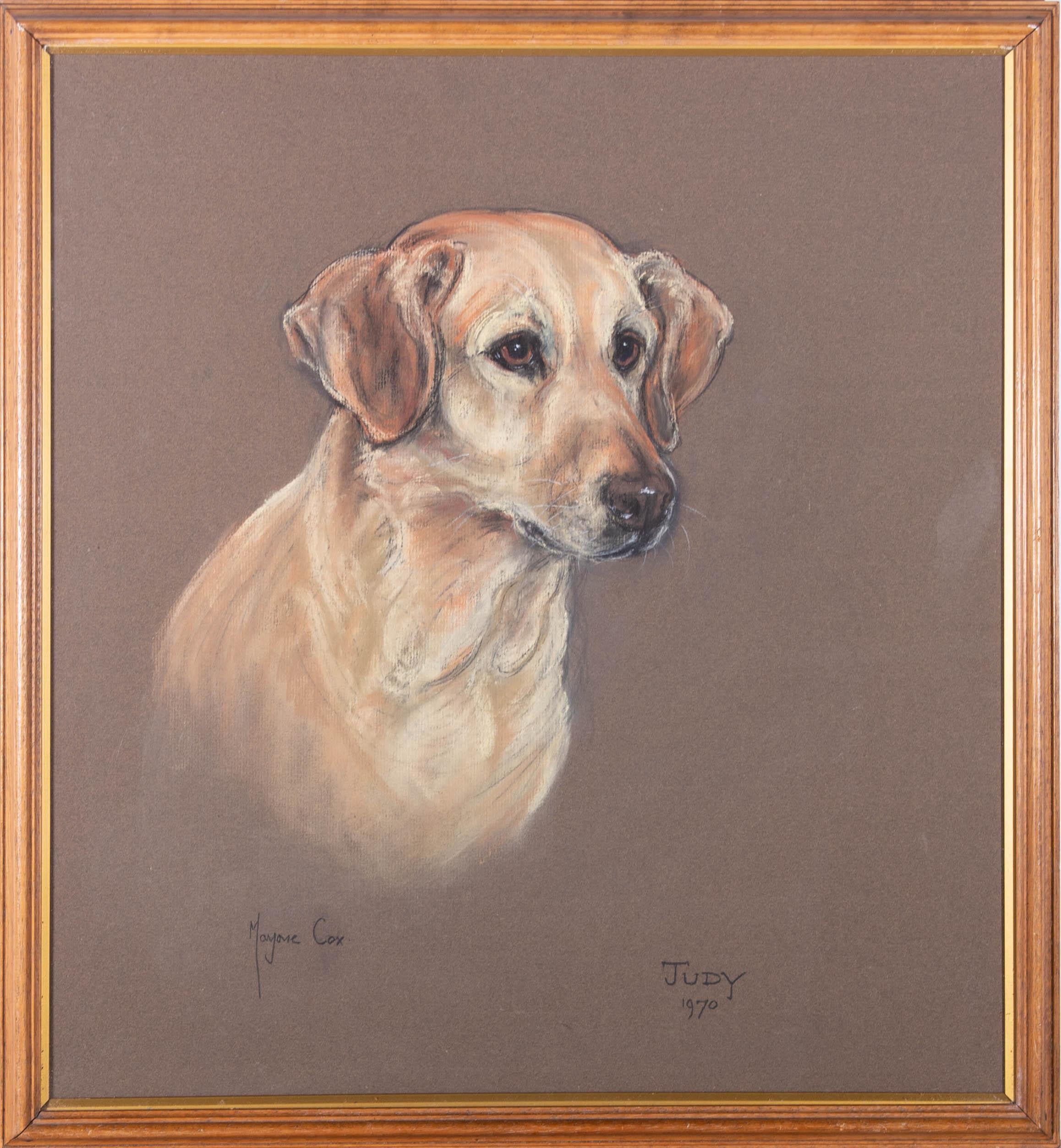 Judy the charming Yellow Labrador is drawn in fine pastel detail by well-listed artist Marjorie Cox. With a masterful technique, Cox captures the adorable features of Judy's face through intricate lines and bold highlights. Signed, dated and titled