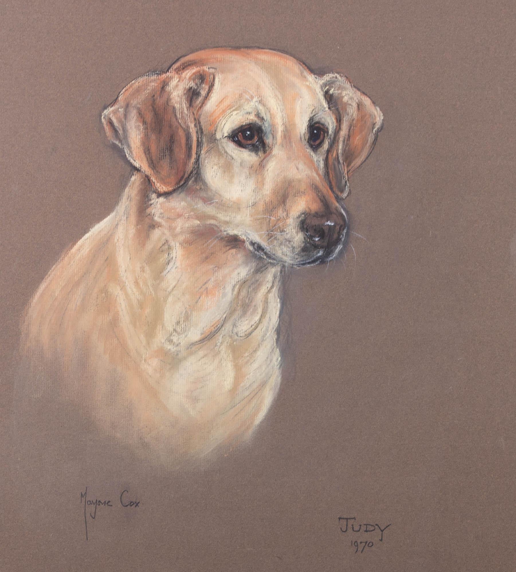 Marjorie Cox - 1970 Pastel, Judy the Yellow Lab For Sale 1