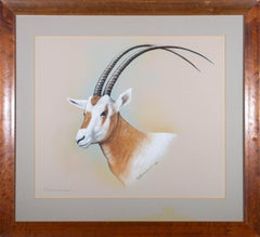 Vintage H.C. Babington - 1980 Watercolour, Scimitar-Horned Oryx