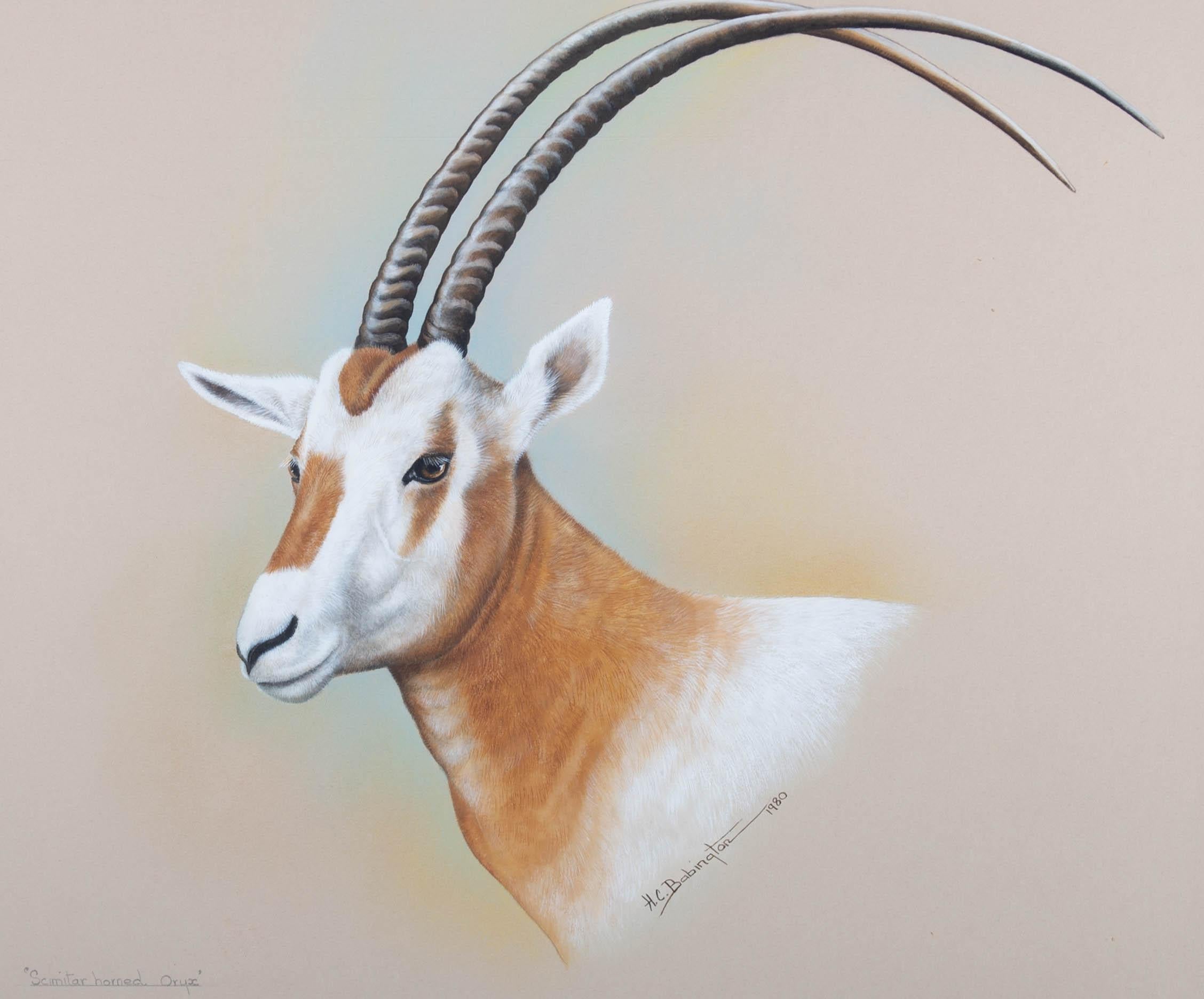 H.C. Babington - 1980, Aquarelle, Oryx à cornes ciselées en vente 1