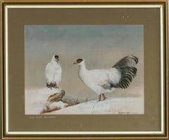 white pheasants H. C. Babington - Contemporary Watercolour, White Eared Pheasants