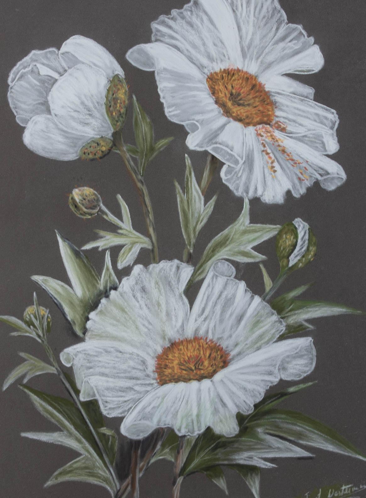 A pretty floral study of good size in pastel showing white California poppies. The artist has signed to the lower right and the artwork has been presented in a contemporary mottled gilt effect frame with triple layered card mount. The artist's card