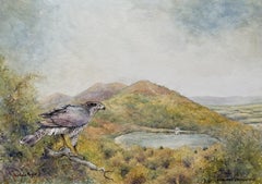 Peinture - Malvern Sparrowhawk, aquarelle sur papier aquarelle