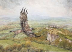 Red Kite . Carreg Cennen .Wales, Painting, Watercolor on Watercolor Paper