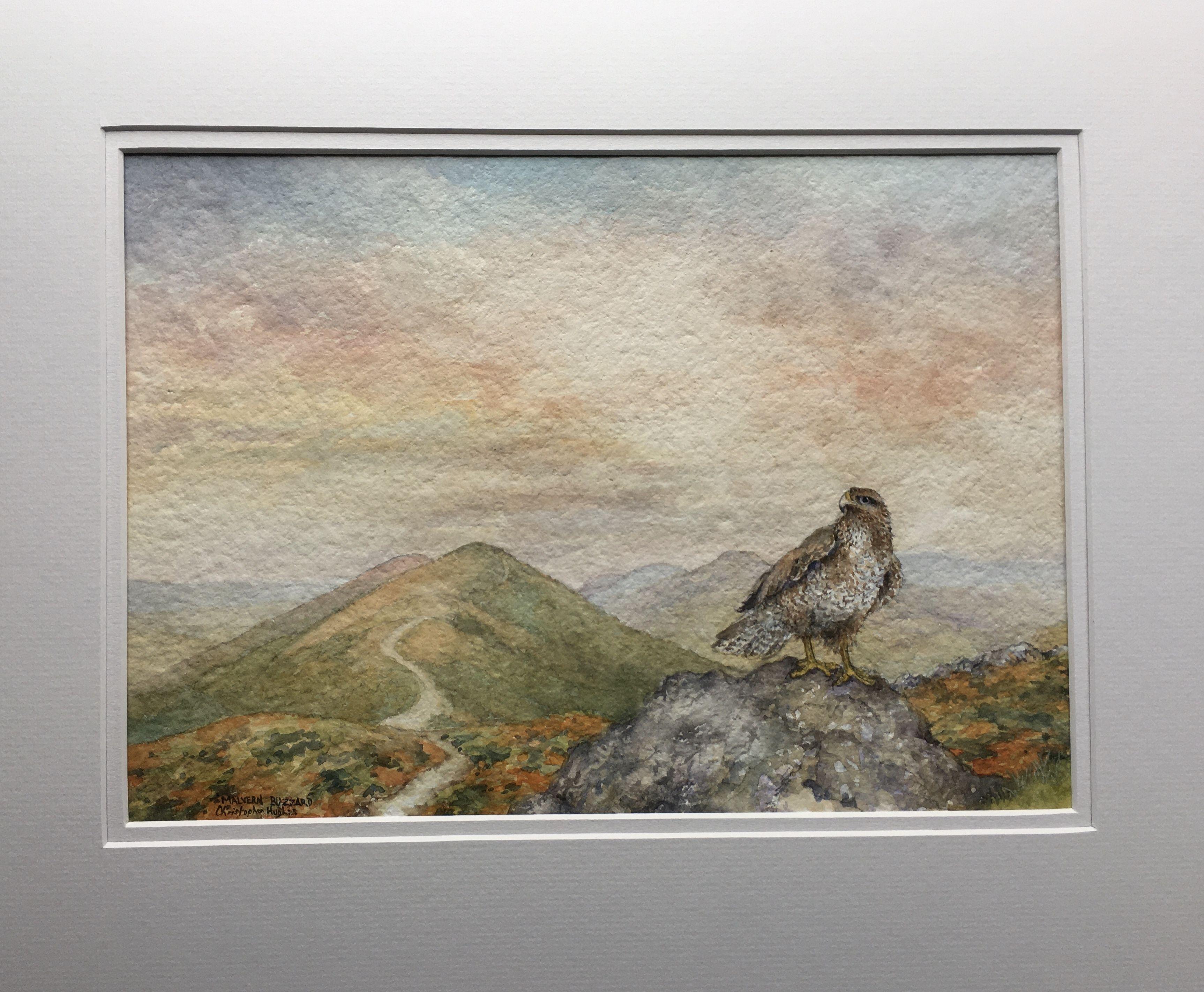Malvern Buzzard. Original-Aquarell, Gemälde, Aquarell auf Aquarellpapier (Realismus), Art, von Christopher Hughes