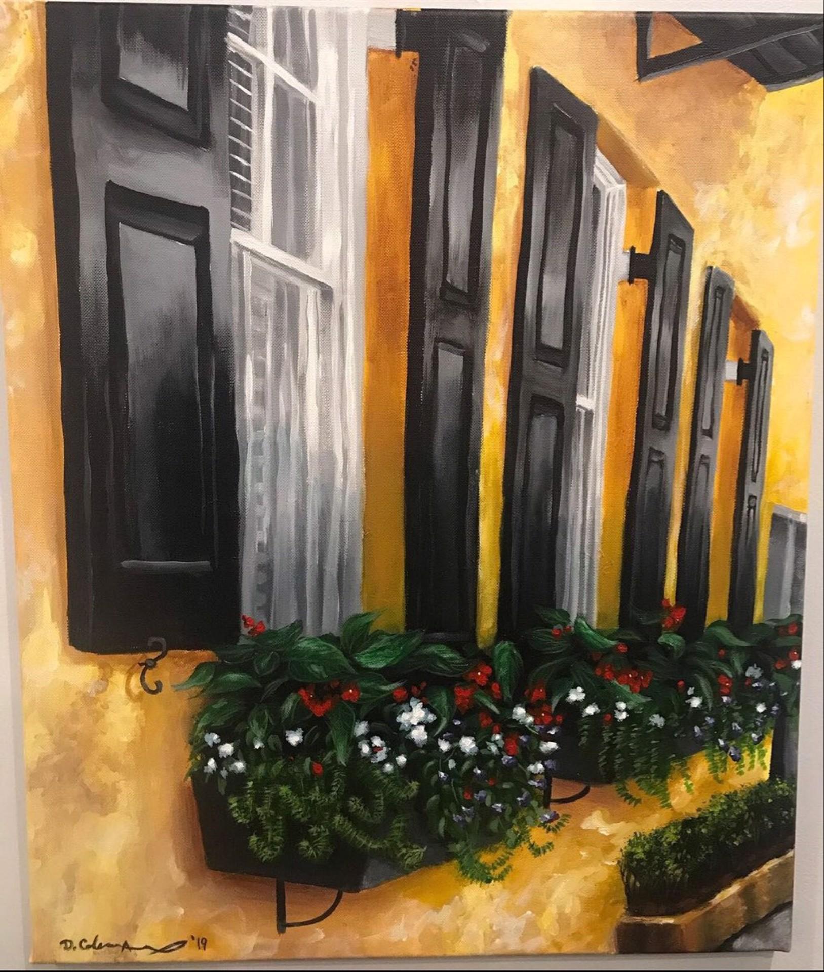 Charleston Flowerbox - Art by Dana Coleman