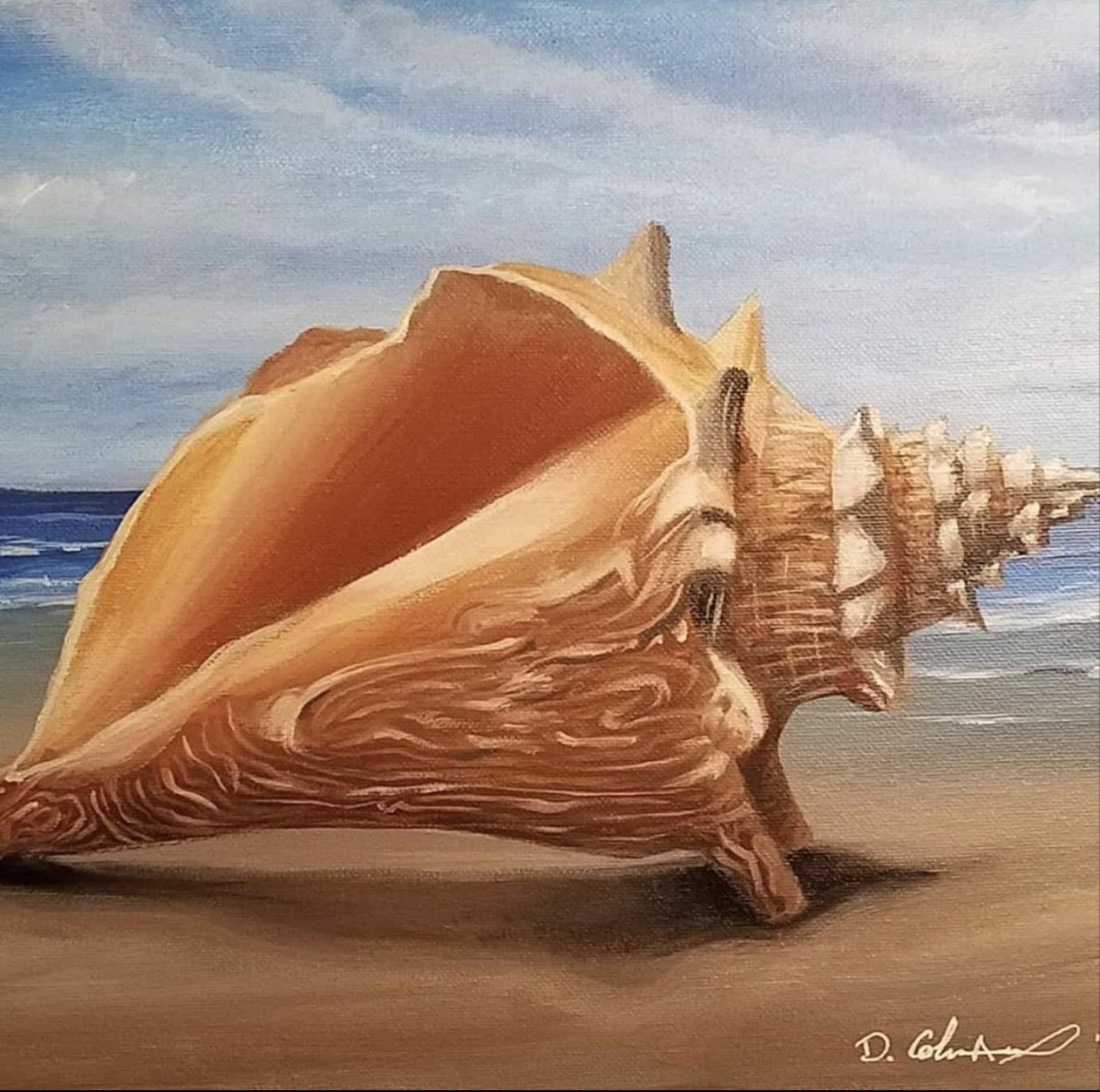 Charleston Conch - Art by Dana Coleman