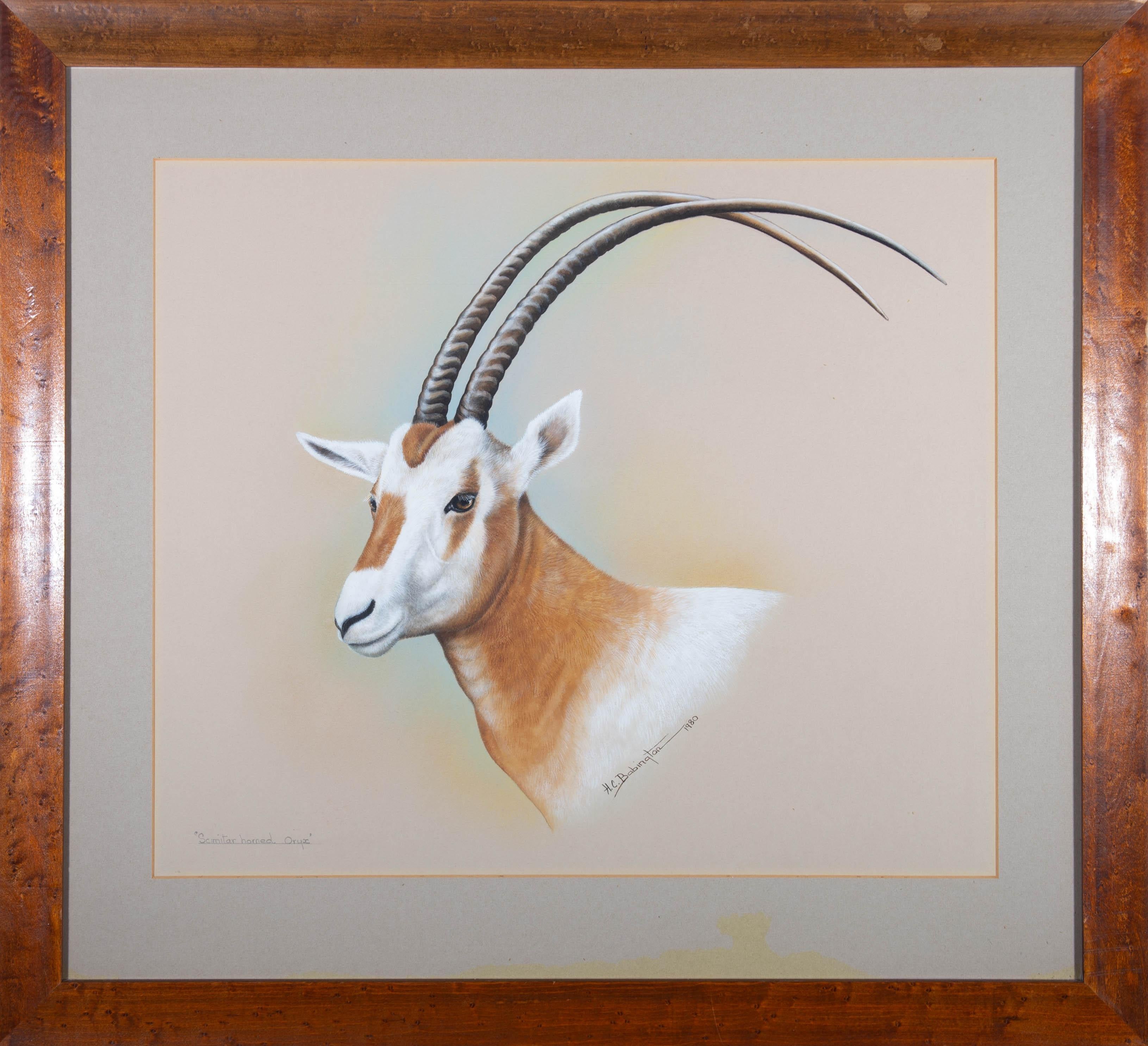 H.C. Babington - 1980 Aquarell, schmitterförmiger Oryx 2